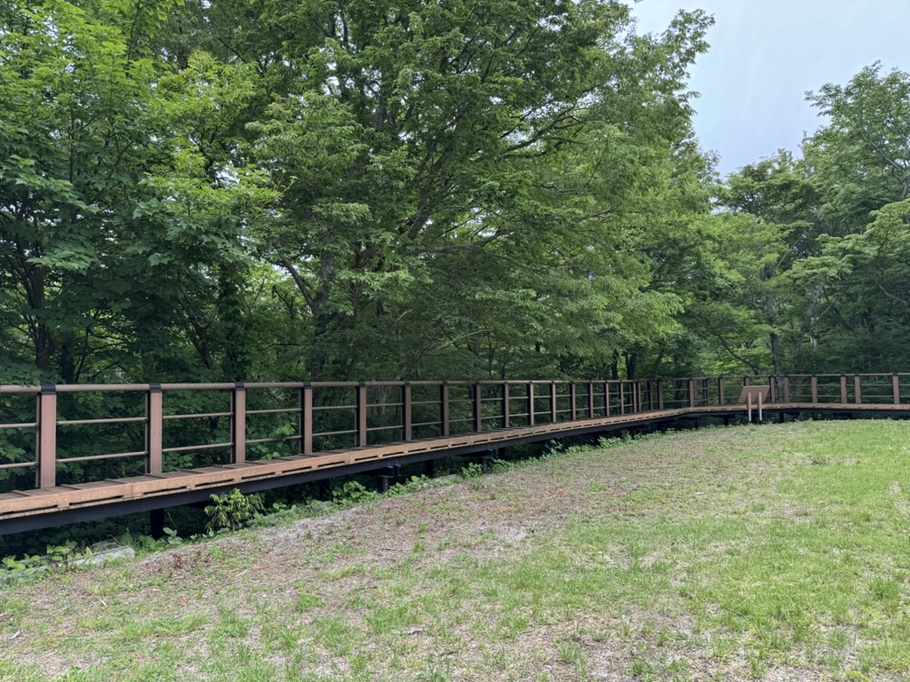 �J�[�u���Ă���ؓ�