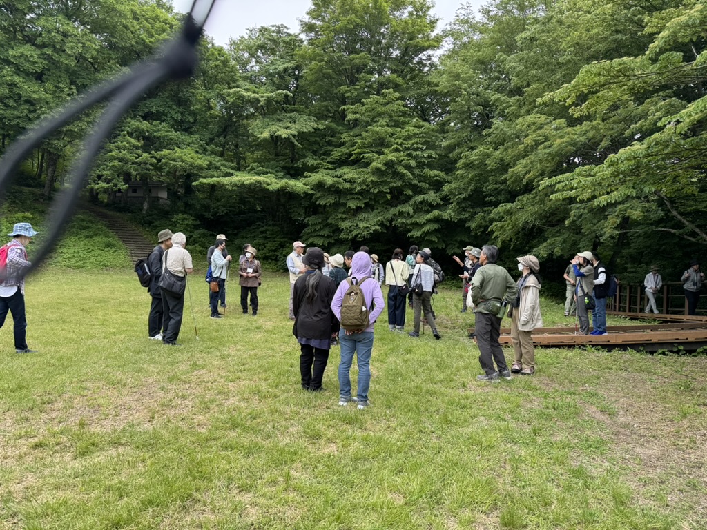 �����ςɐl���R�O�l���炢��