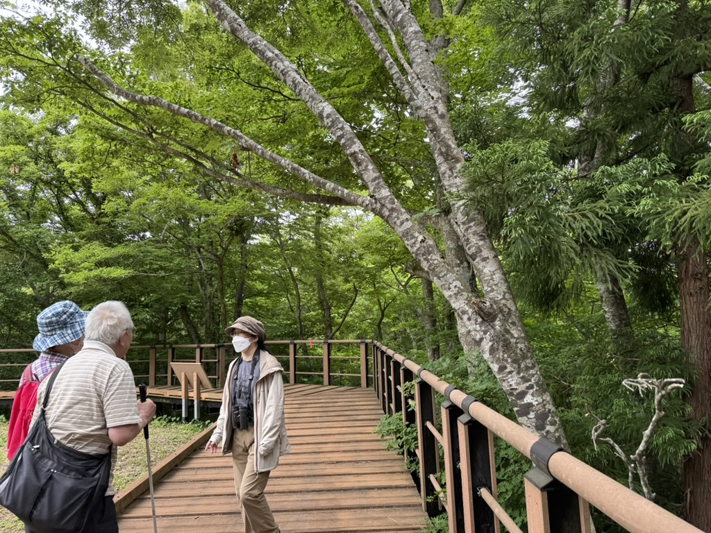 �Q���҂ƃK�C�h���A�ؓ���������